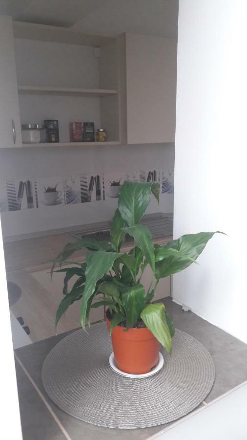 Melody Apartment Alba Iulia Exterior foto